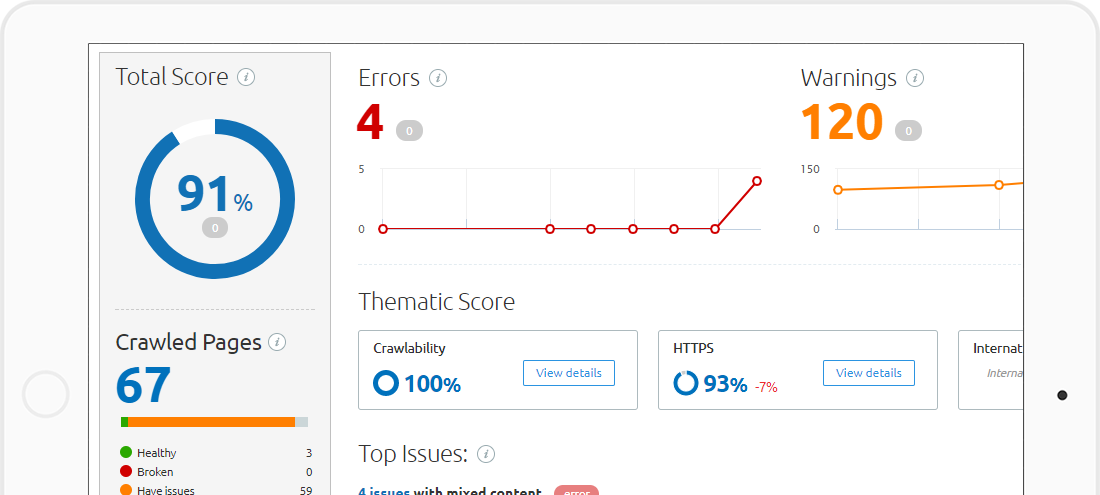 Website Audit