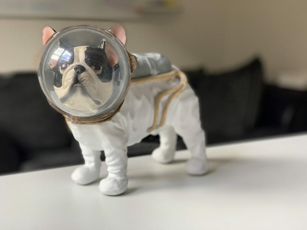 Space Dog