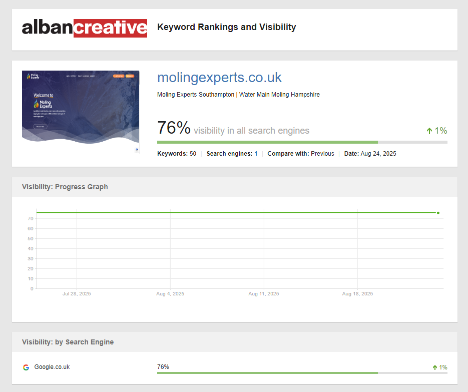Ranking Report Overall Visibility analytics